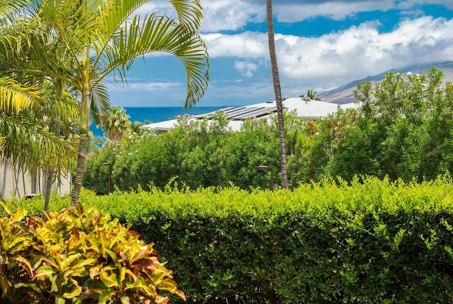 Apartament Ho'Omaha - Serene Kihei Condo In Maui Kamaole For Ocean Views And Relaxation Wailea  Stany Zjednoczone Ameryki